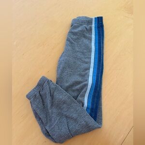Aviator Nation Gray Joggers with Blue Stripes